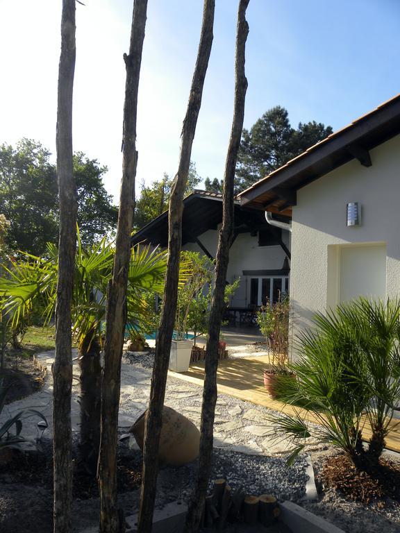 Villa Mogador Piscine Et Balneo Andernos-les-Bains Exterior foto